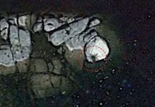 Google Earth phát hiện sinh vật khổng lồ ở ngoài khơi Mexico