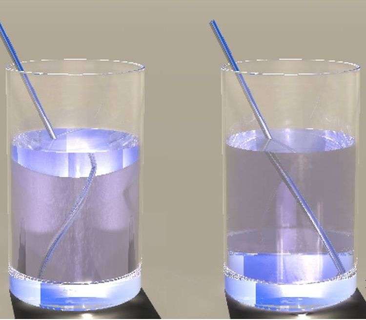 6 “sự thật” sai lầm trong sách giáo khoa phổ thông