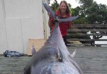 Câu được cá ngừ "siêu khủng" nặng 411,6kg