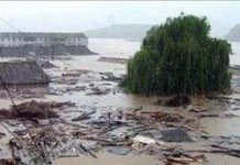 Thế giới oằn mình vì bão và động đất