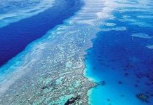 UNESCO cảnh báo rạn san hô Great Barrier Reef lâm nguy