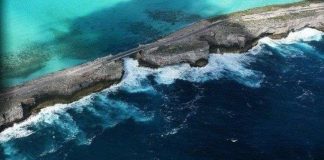 Tiếng "huýt sáo" trầm bổng vọng ra từ biển Caribean