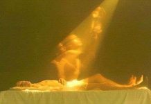 "Hào quang" của cơ thể sống chính là "hồn"