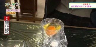 Nhóm học sinh Nhật Bản thực hiện thành công thí nghiệm ấp trứng gà không cần vỏ