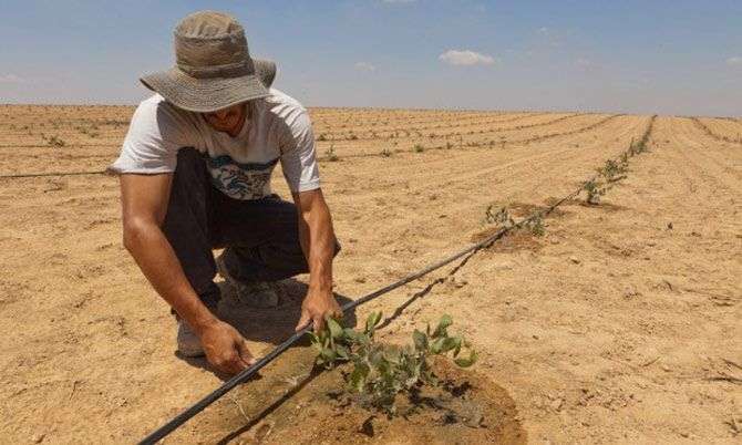 Công nghệ nuôi cá trên sa mạc đạt năng suất cao của Israel