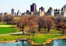 Công viên nhỏ làm dịu mát những thành phố lớn