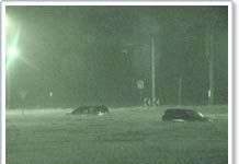 Australia hứng chịu nạn lụt tồi tệ nhất trong hai thập niên