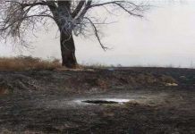 Vật thể lạ bốc cháy trên đỉnh núi Trung Quốc Vật thể lạ bốc cháy trên đỉnh núi Trung Quốc