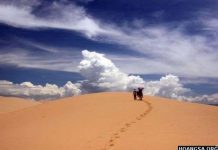 5 mối đe dọa cồn cát ven bờ