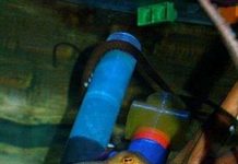 Bạch tuộc thông minh biết xếp hình, giải đố