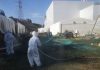 Công nhân Fukushima tử vong không phải vì phóng xạ