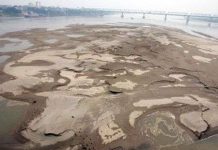 Sông Hồng sắp hết... hồng