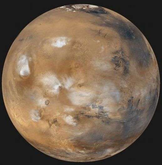 Phát hiện chấn động: Hoa nở trên sao Hỏa?