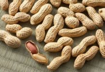 Chữa dị ứng đậu phộng bằng miếng dán