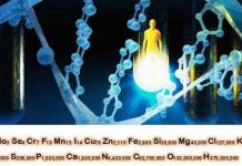 Công thức hóa học của cơ thể người?