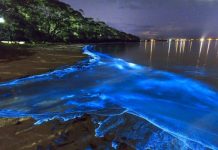 Bờ biển phát sáng ảo diệu tại quốc đảo Maldives