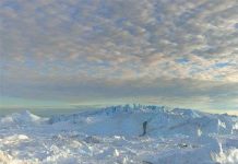 Một nửa nguyên nhân gây ra tình trạng ấm lên ở Greenland là do tự nhiên