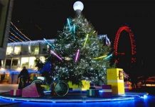 25.000 ký sinh trùng “trú Đông” trên mỗi cây thông Noel 25.000 ký sinh trùng "trú Đông" trên mỗi cây thông Noel