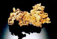 Giá vàng càng tăng, rừng Amazon càng bị phá