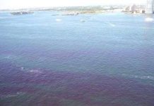 “Thủy triều đỏ” đe dọa New York "Thủy triều đỏ" đe dọa New York