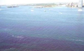 "Thủy triều đỏ" đe dọa New York