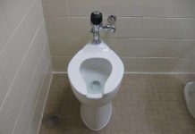 Tìm hiểu những sự thật giật mình về toilet khiến ai cũng bất ngờ