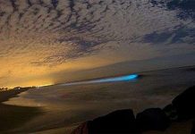 Vì sao biển đêm lại le lói những ánh sáng kỳ ảo?