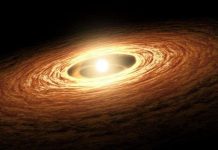 Không riêng gì sao lớn, sao lùn cổ cũng có vành đĩa khí bụi