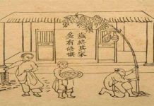 Tết nhà nhà dựng cây nêu, nhưng thực sự "nêu" là cây gì?