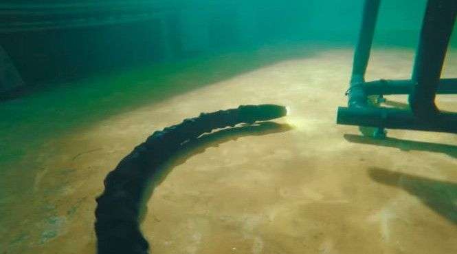 Robot rắn sửa chữa thiết bị môi trường dưới đáy biển