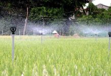 Công nghệ tưới tiết kiệm - Giải pháp căn cơ ứng phó hạn hán