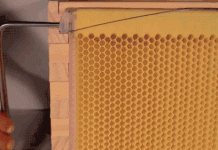 3 phát minh hỗ trợ công việc nhà nông