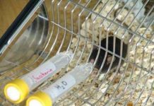 Tại sao những ký ức đau buồn trong cuộc sống lại vô cùng mãnh liệt