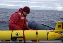 Dùng robot để nghiên cứu cá voi sắp tuyệt chủng