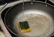 50.000 tỉ vi khuẩn trong... miếng rửa chén