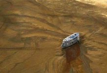 Cạn kiệt Amazon Cạn kiệt Amazon