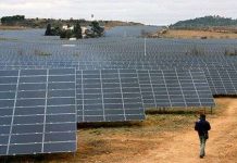 Công ty Mỹ muốn xây nhà máy quang điện tại Việt Nam