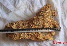 Phát hiện quặng vàng nặng gần 8kg ở Trung Quốc