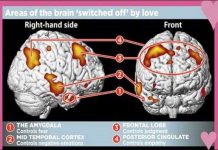 Lý giải khoa học về sự "mù quáng" khi yêu