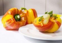 Lần đầu tiên lai tạo thành công ớt chuông sọc kẻ Lần đầu tiên lai tạo thành công ớt chuông sọc kẻ