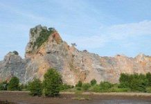 Chuyên gia quốc tế cảnh báo nguy cơ với các loài đặc hữu núi đá vôi Hòn Chông