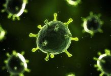 Sinh vật ngoài hành tinh theo tàu vũ trụ về Trái đất?