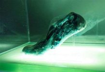 Mẫu giày có thể tự tái tạo sau 1 đêm