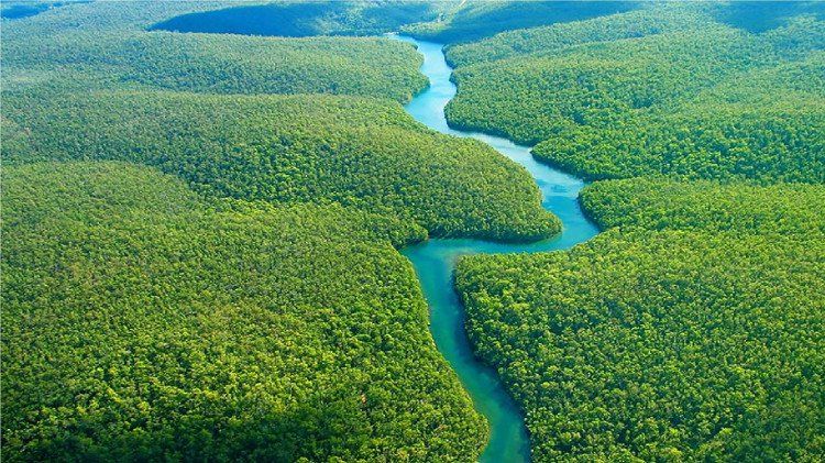 Phát hiện mới giúp sông Amazon trở thành sông dài nhất thế giới