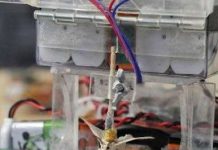 Nhật sẽ có côn trùng mang não nhân tạo