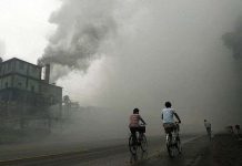 Không khí ô nhiễm làm phụ nữ ngu đi