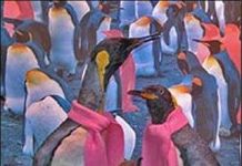 Triển lãm động vật đồng giới