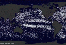 Con người đã tàn phá đại dương trong hàng chục năm qua như thế nào? Con người đã tàn phá đại dương trong hàng chục năm qua như thế nào?