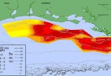 "Vùng chết" trên vịnh Mexico mở rộng kỷ lục