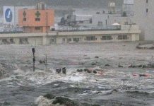 Hình ảnh mới về khoảnh khắc sóng thần ập đến Nhật